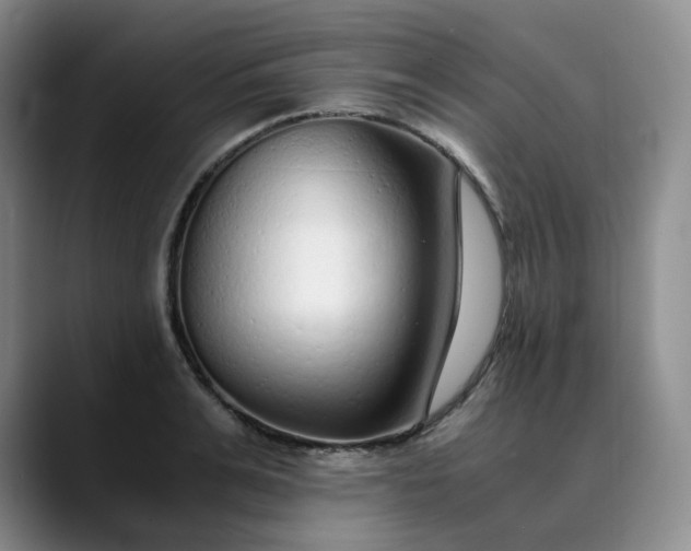 X0000089890991200707121828