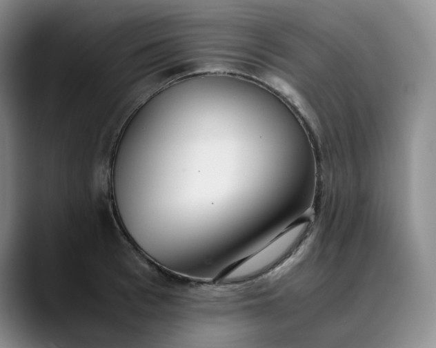 X0000089890993200707121828