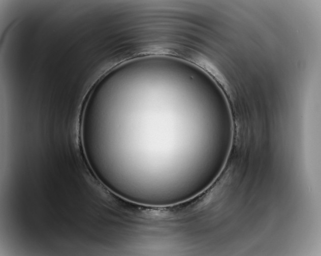 X0000089890994200707121828