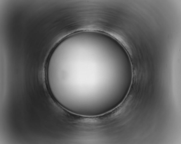 X0000089890998200707121828