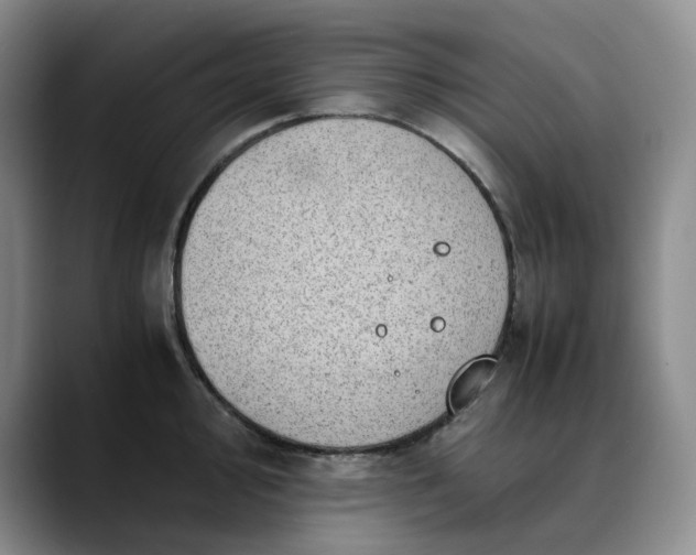 X0000089891000200707121828