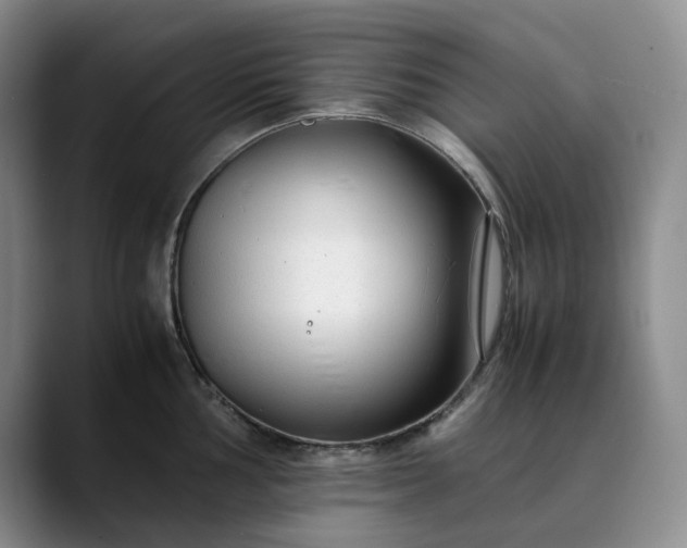 X0000089891002200707121828