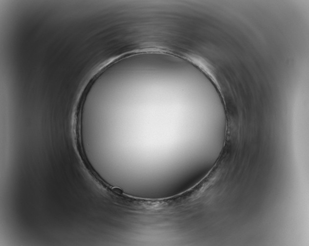 X0000089891003200707121828