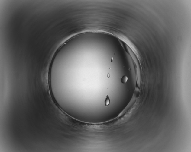 X0000089891004200707121828