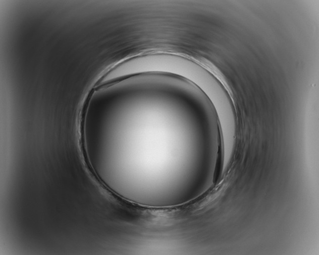 X0000089891005200707121828