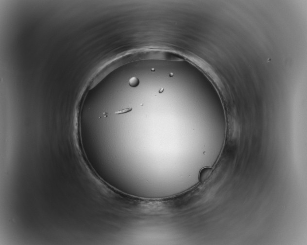 X0000089891006200707121828