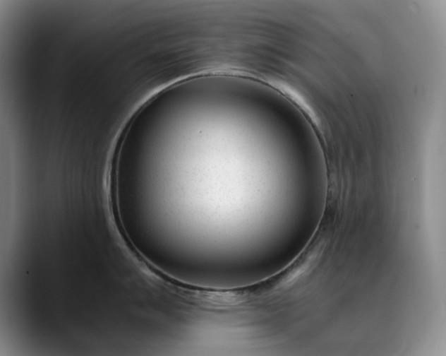 X0000089891007200707121828