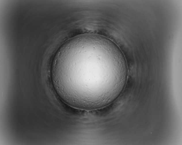 X0000089891009200707121827