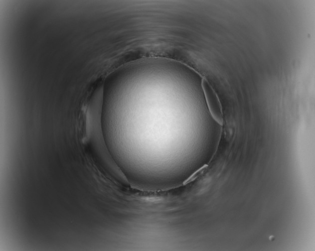 X0000089891010200707121827