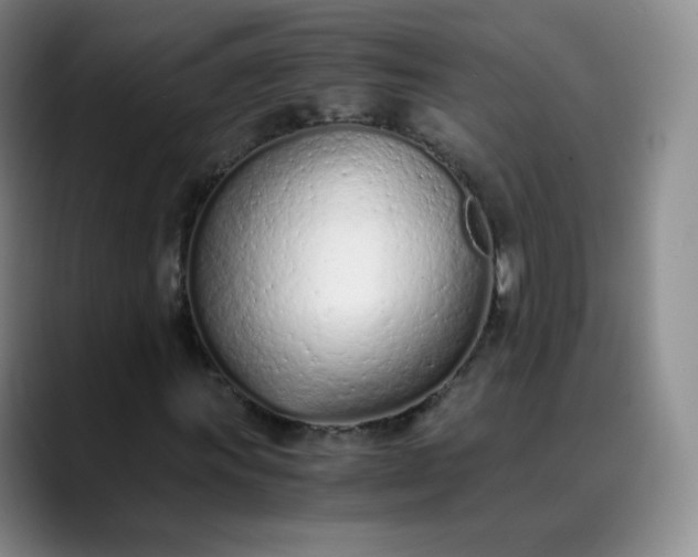 X0000089891011200707121827