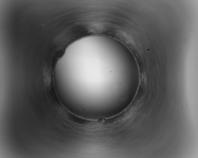 X0000089891012200707121827