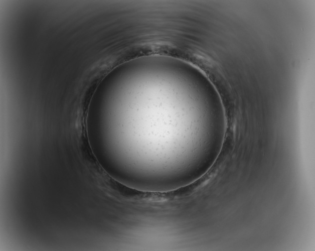 X0000089891014200707121827