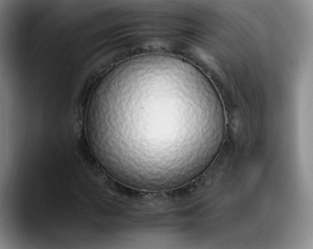 X0000089891015200707121827