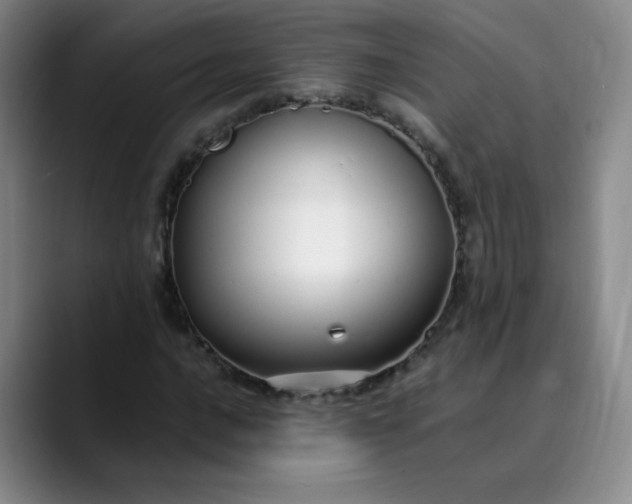 X0000089891016200707121827