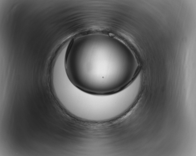 X0000089891018200707121827