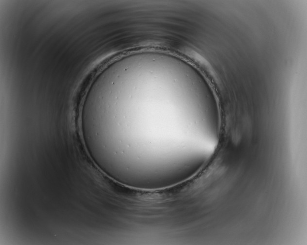 X0000089891019200707121827