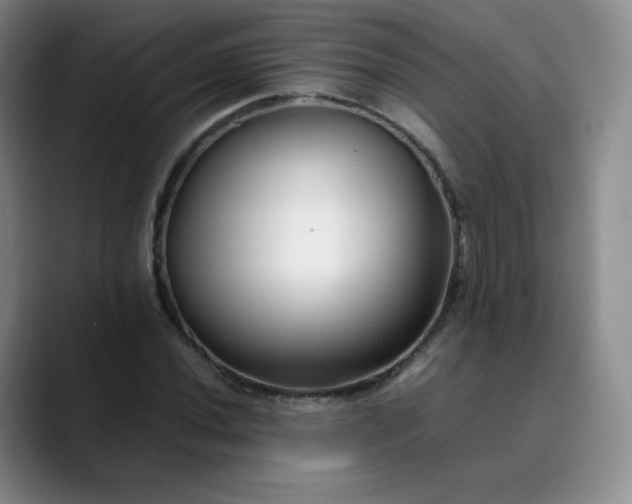 X0000089891020200707121827