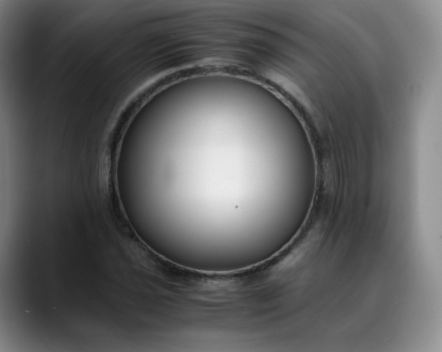 X0000089891021200707121827