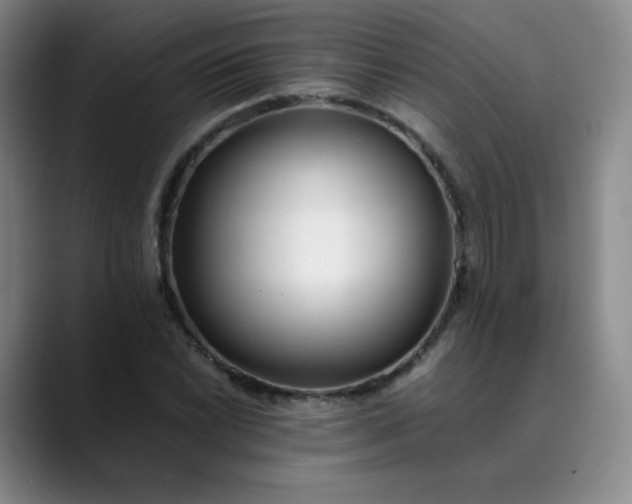 X0000089891022200707121827