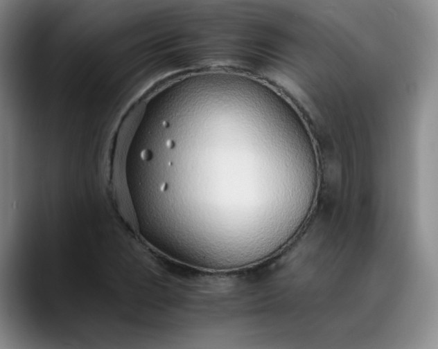 X0000089891023200707121827