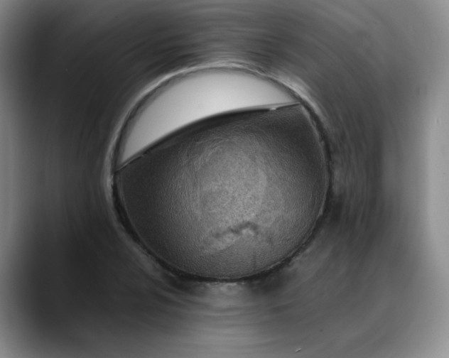 X0000089891024200707121827