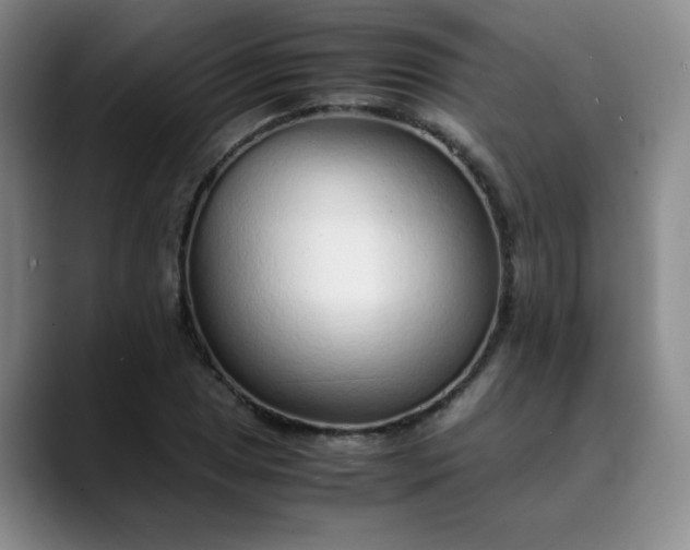 X0000089891025200707121827