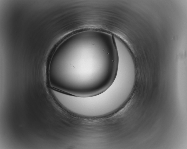 X0000089891030200707121827