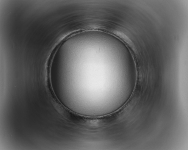 X0000089891031200707121827