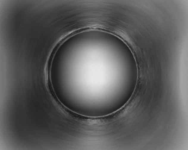 X0000089891032200707121827