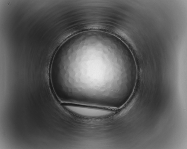 X0000089891033200707121827