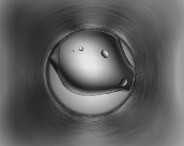 X0000089891034200707121827