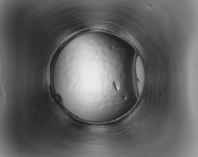 X0000089891036200707121827