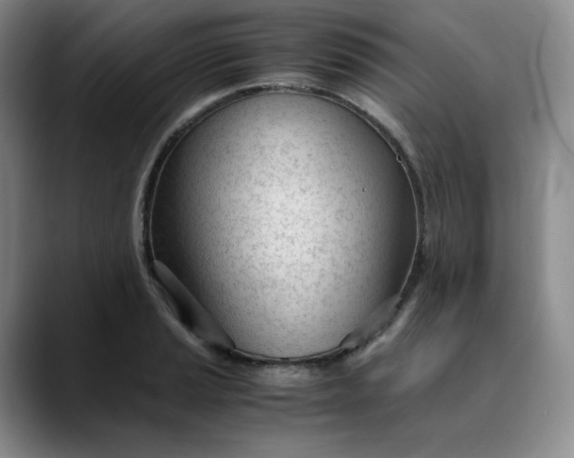 X0000089891037200707121827