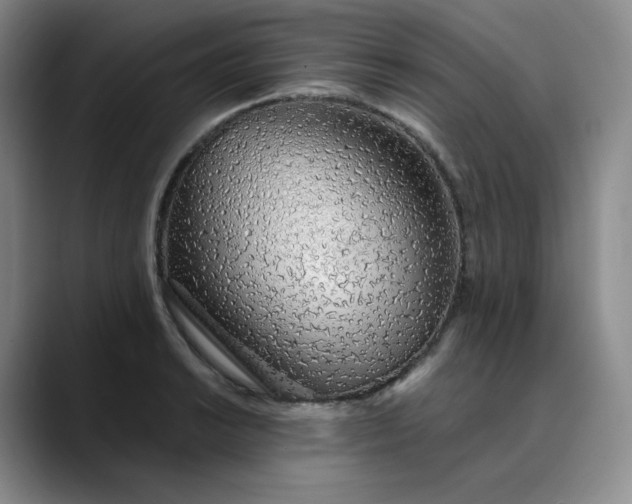 X0000089891038200707121827