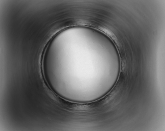 X0000089891039200707121827