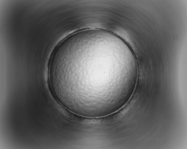 X0000089891040200707121827