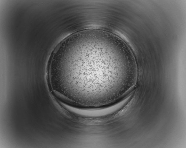 X0000089891042200707121827