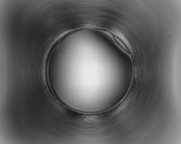 X0000089891043200707121827