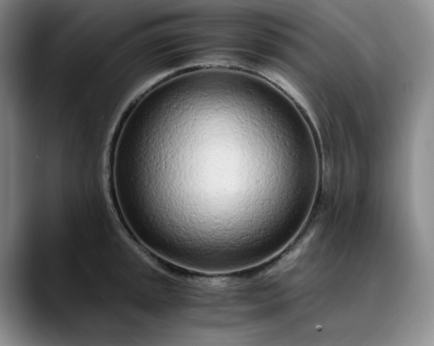 X0000089891045200707121827