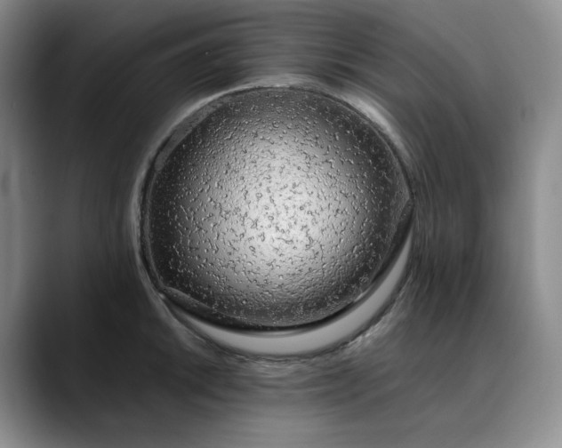 X0000089891046200707121827