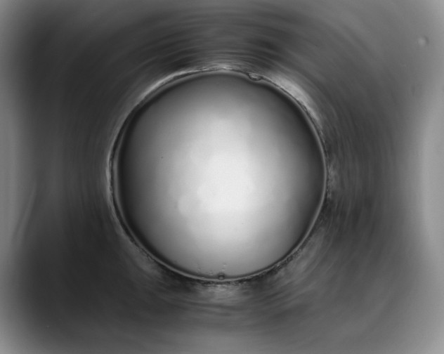 X0000089891047200707121827