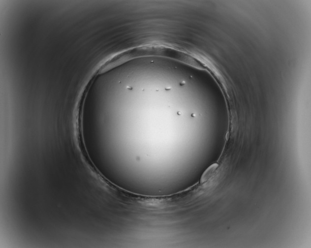 X0000089891048200707121827