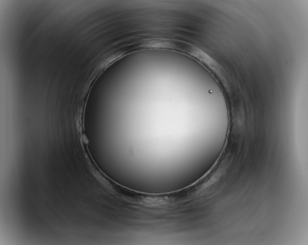 X0000089891049200707121827