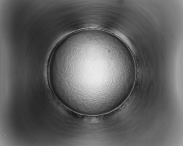 X0000089891051200707121827