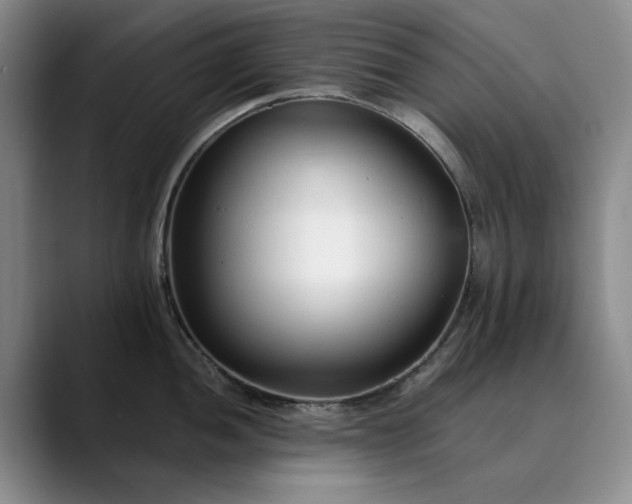 X0000089891052200707121827