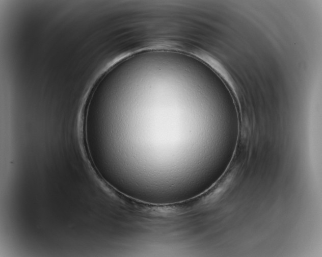 X0000089891053200707121828