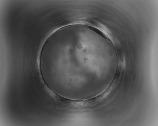 X0000089891054200707121828