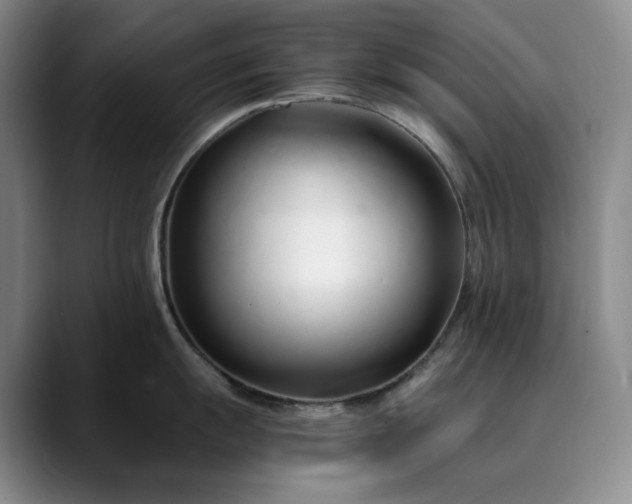 X0000089891055200707121828