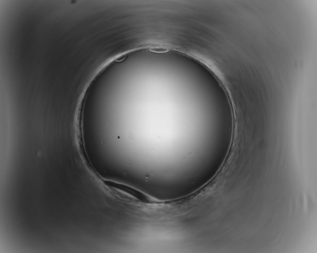 X0000089891056200707121828