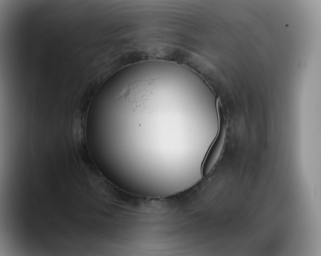 X0000089891058200707121827